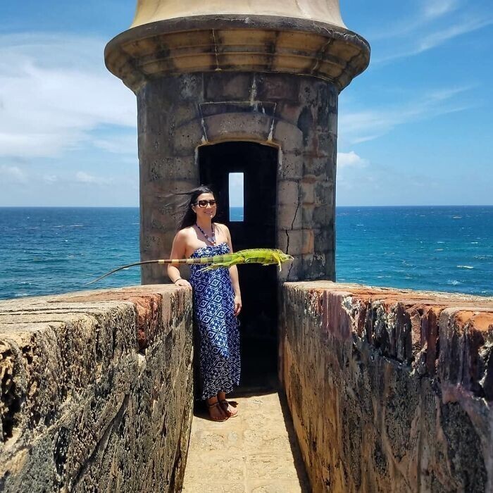 "Игуана решила эффектно появиться в кадре, когда меня фоткали в Пуэрто-Рико"