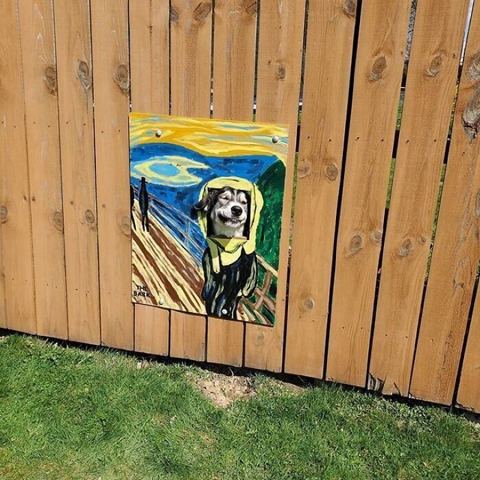 Креативный хозяин сделал своего пса звездой забор-шоу