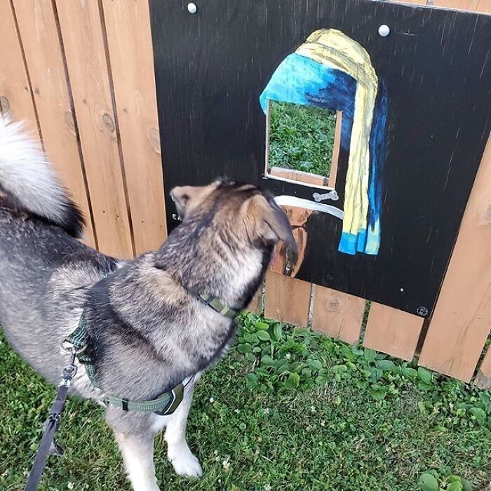 Креативный хозяин сделал своего пса звездой забор-шоу