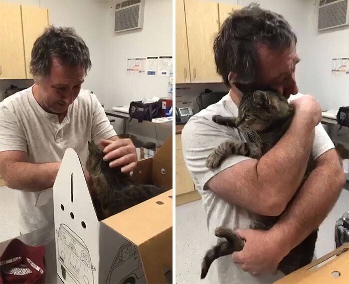 Мужчина воссоединился со своим 19-летним котом после того, как он пропал семь лет назад"