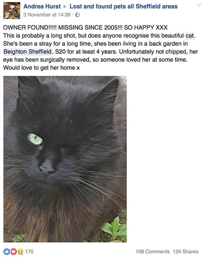 Эта кошка пропала еще в 2005 году. Она жила в саду на заднем дворе одного дома, и только в прошлом году местные жители нашли ее хозяев