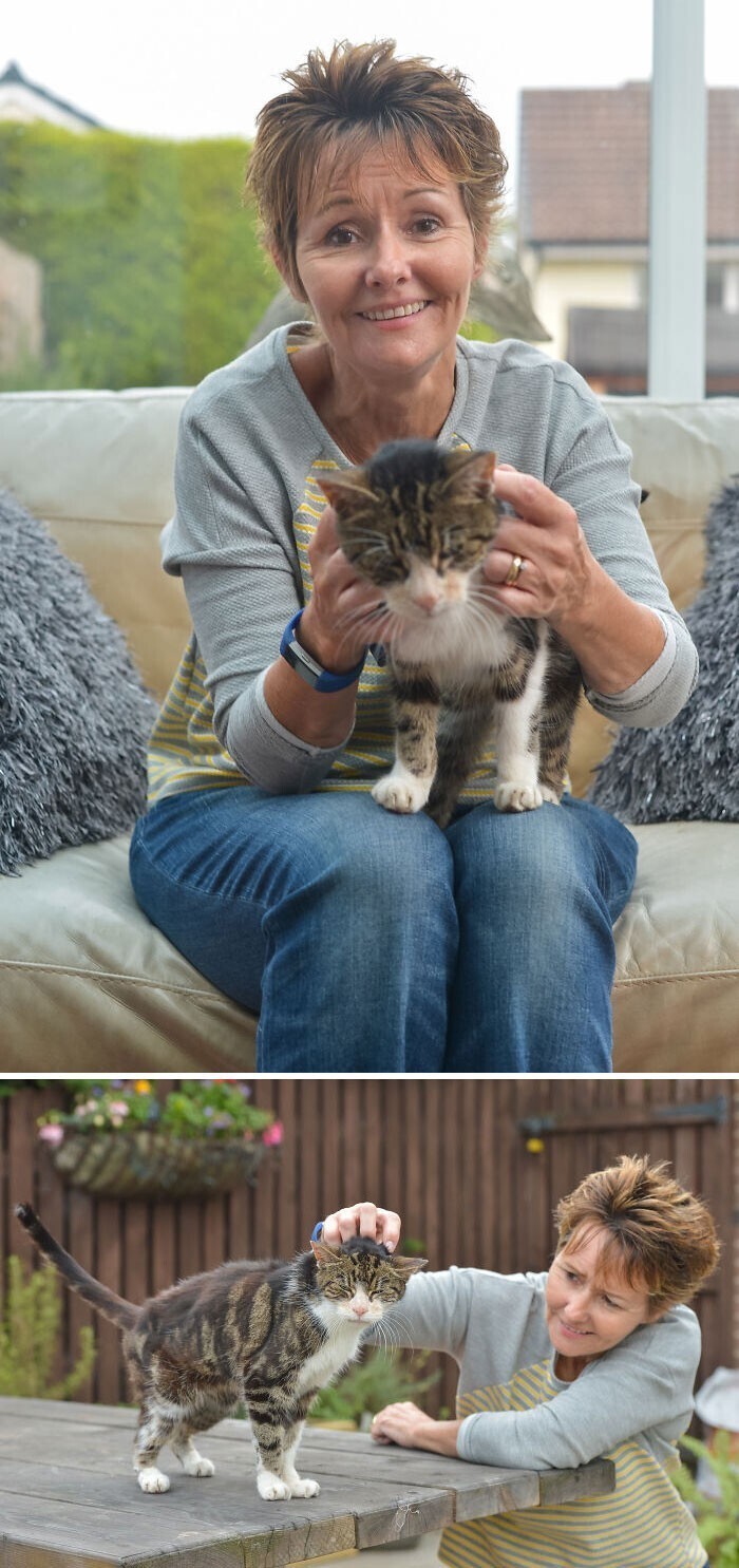 Кошка по кличке Бу (Boo) нашла дорогу домой спустя 13 лет после того, как хозяйка Джанет Адамович потеряла надежду найти ее