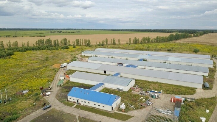 Разведение радужной форели начато в Змиевском рыбопромысловом комплексе в Орловской области