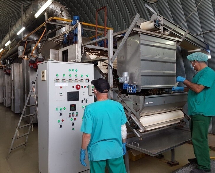 Производство продуктов быстрого приготовления из ламинарии запустили на Сахалине
