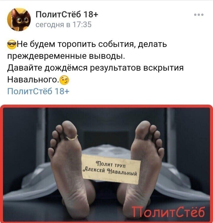 Политические картинки