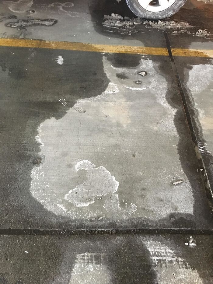 Пятно от соли на стоянке в форме кошачьего силуэта
