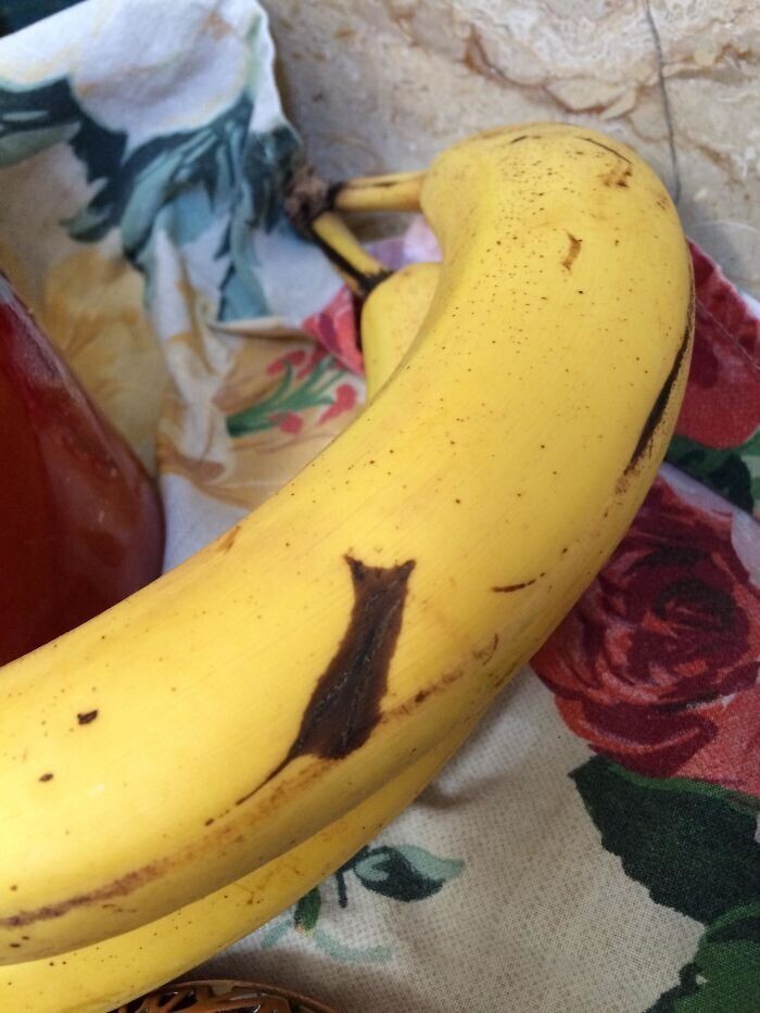 Темное пятно на банане - сидящая кошка