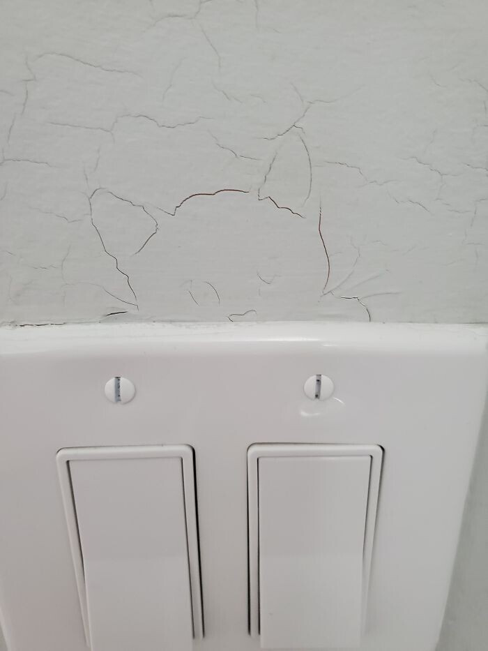 Трщины над выключателем сформировали на стене силуэт кота