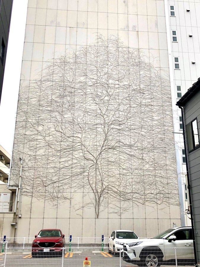 Рисунок дерева на стене создала виноградная лоза