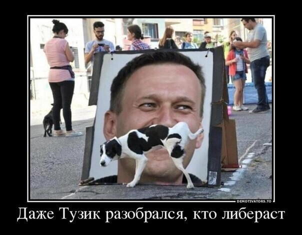 Политические комментарии из инета