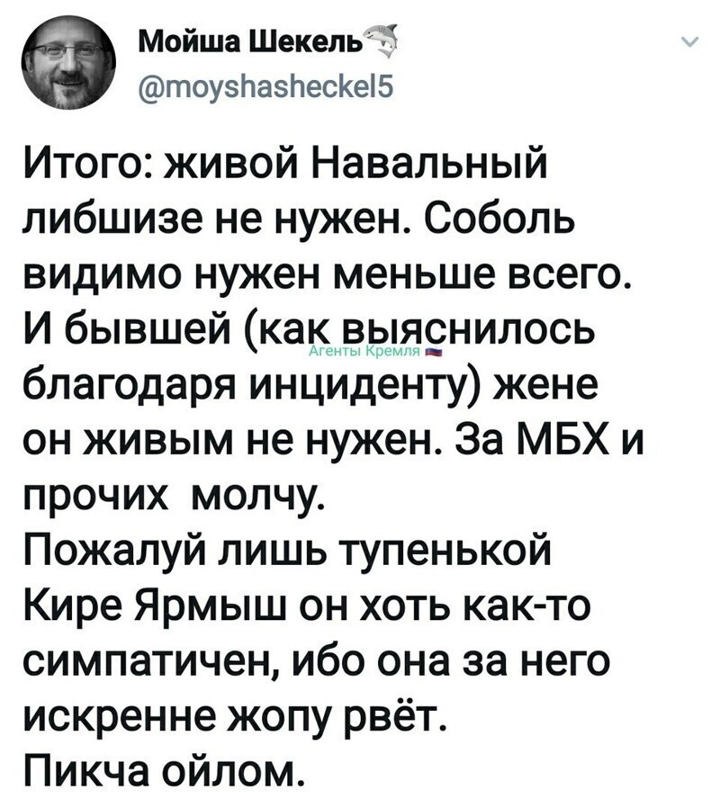 Политические комментарии из инета