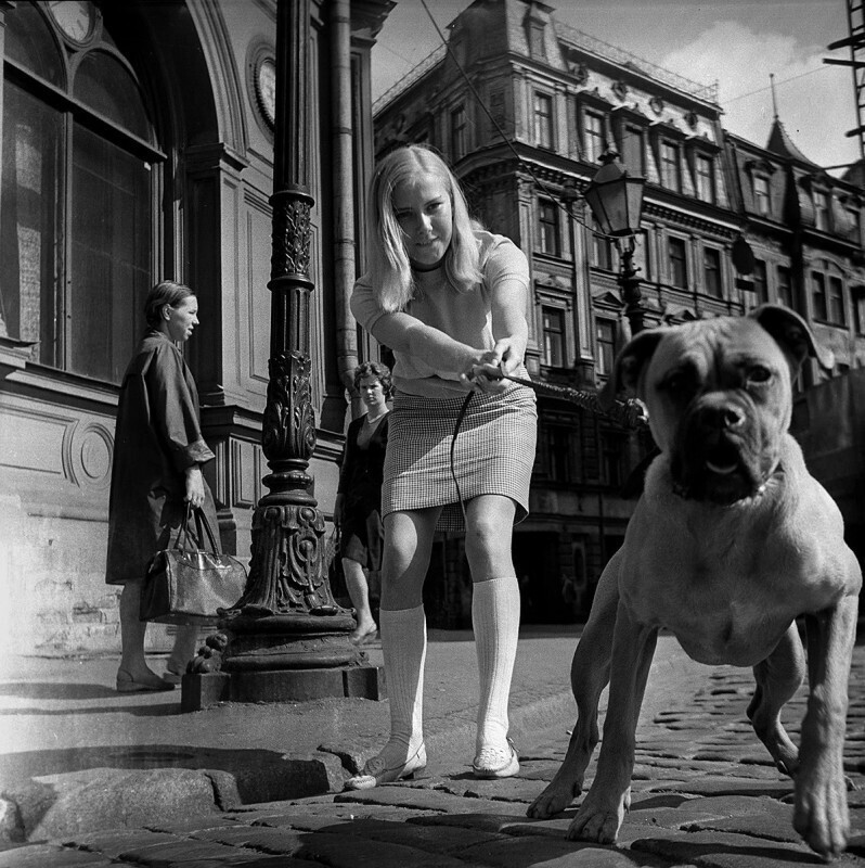 Девушка и боксер, 1968 год, Рига