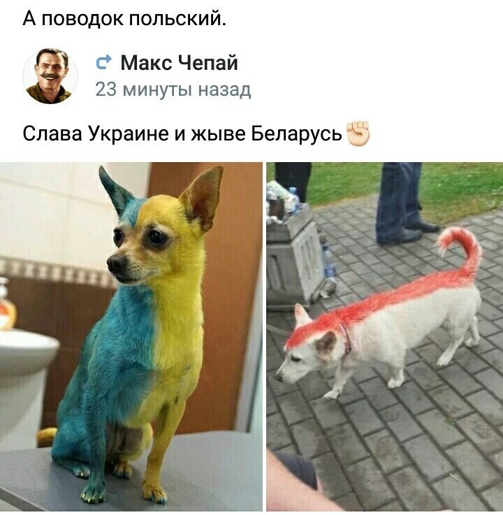 Политические комментарии из инета