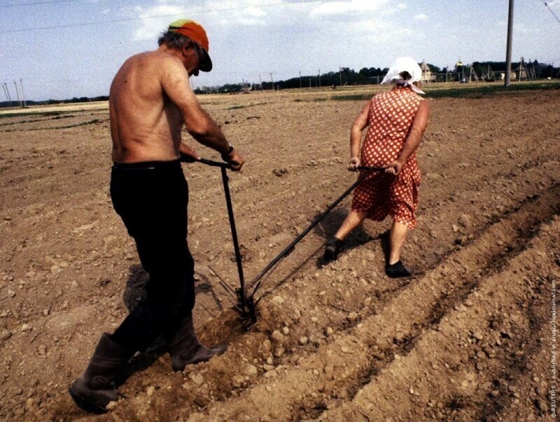 Два учителя на пенсии сажают картошку. Деревня под Псковом, май 1993 г.