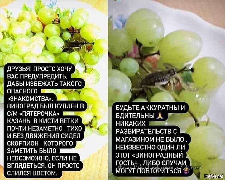 В Казани,в одном из магазинов "Пятёрочка",женщину,при завешивании винограда,у...