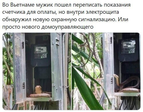 Политические комментарии из инета