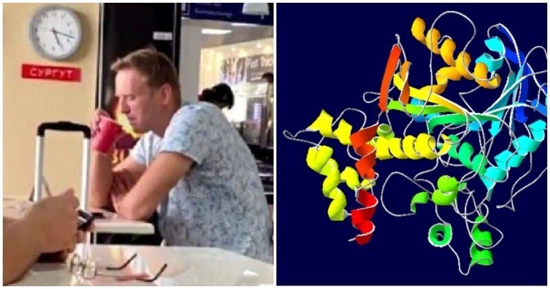 Что такое ингибиторы холинэстеразы и могли ли ими отравить Навального ( 5 фото)