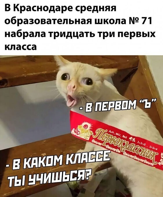 Прикольные и смешные картинки