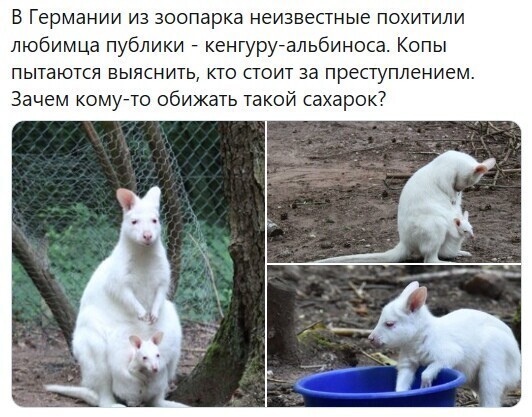 Политические комментарии из инета