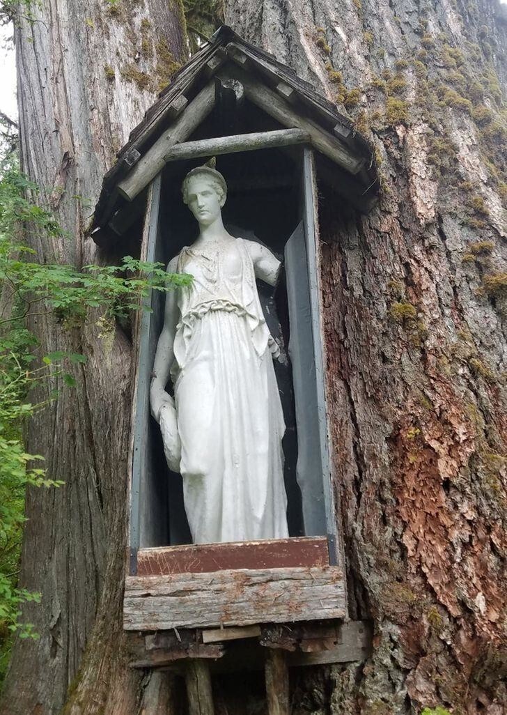 Статуя намерено поставлена в лесу, но нет никаких указаний, с какой целью