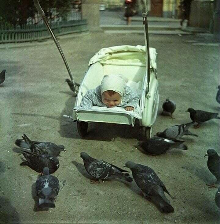 В московском дворике, в 1960-х.