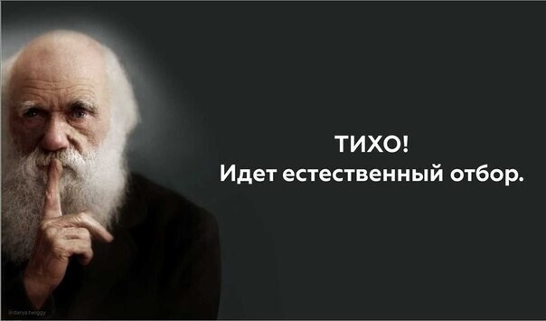 Политические комментарии из инета