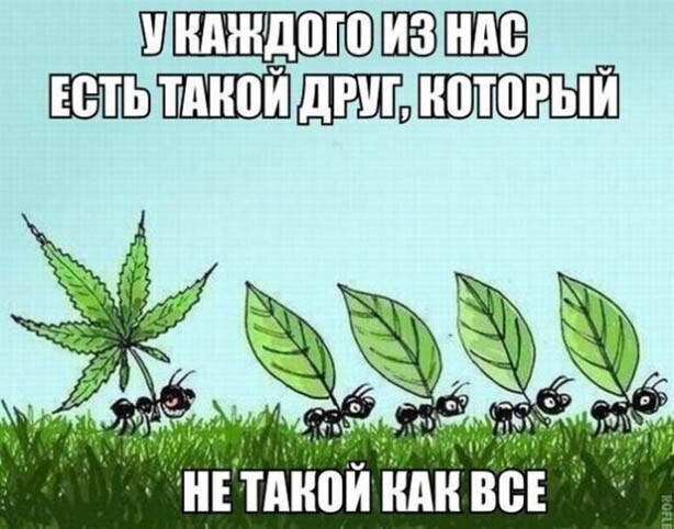 Прикольные и смешные картинки