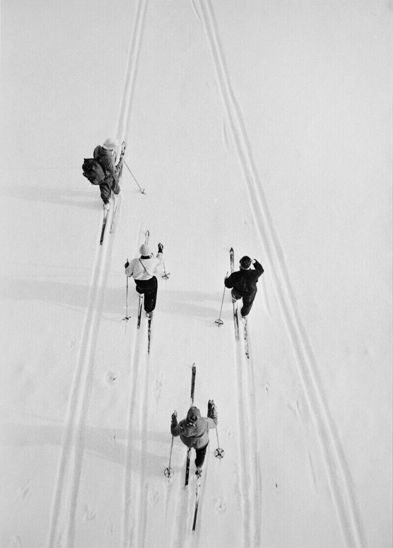Лыжники, 1957 год.