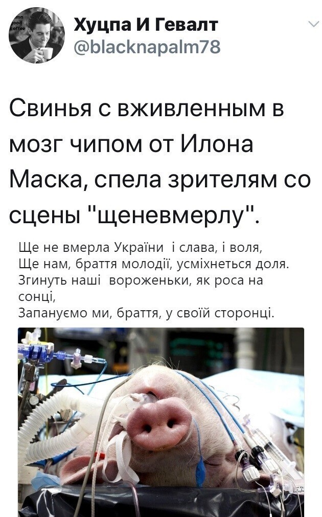 Политические комментарии из инета