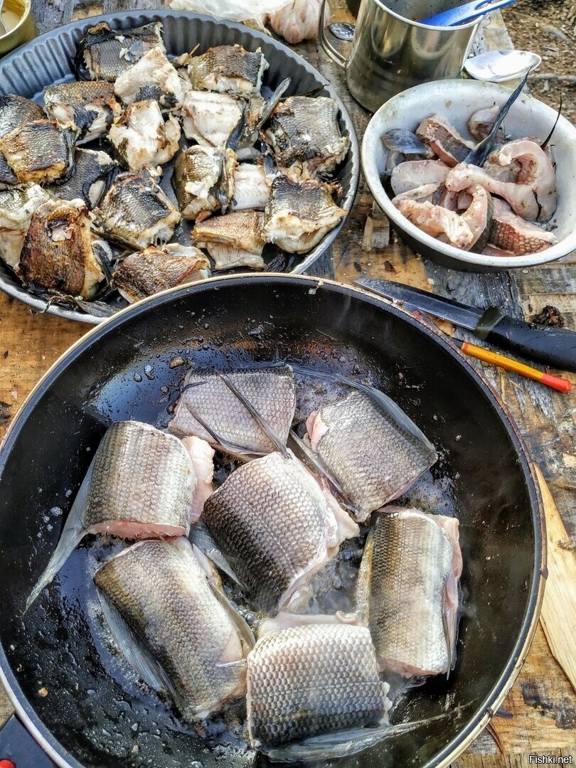 Колымский хариус