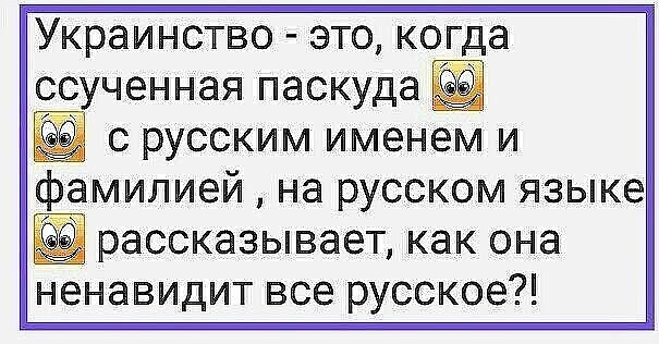 Политические комментарии из инета