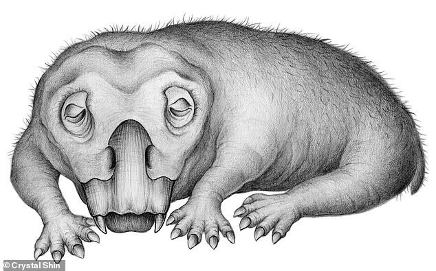 Палеонтологи выяснили, какое животное первым научилось впадать в зимнюю спячку