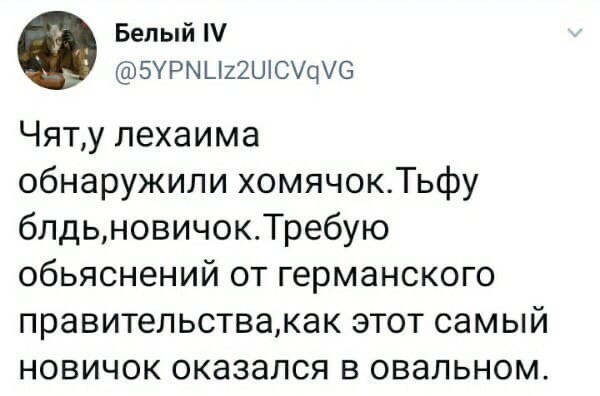 Политические комментарии из инета