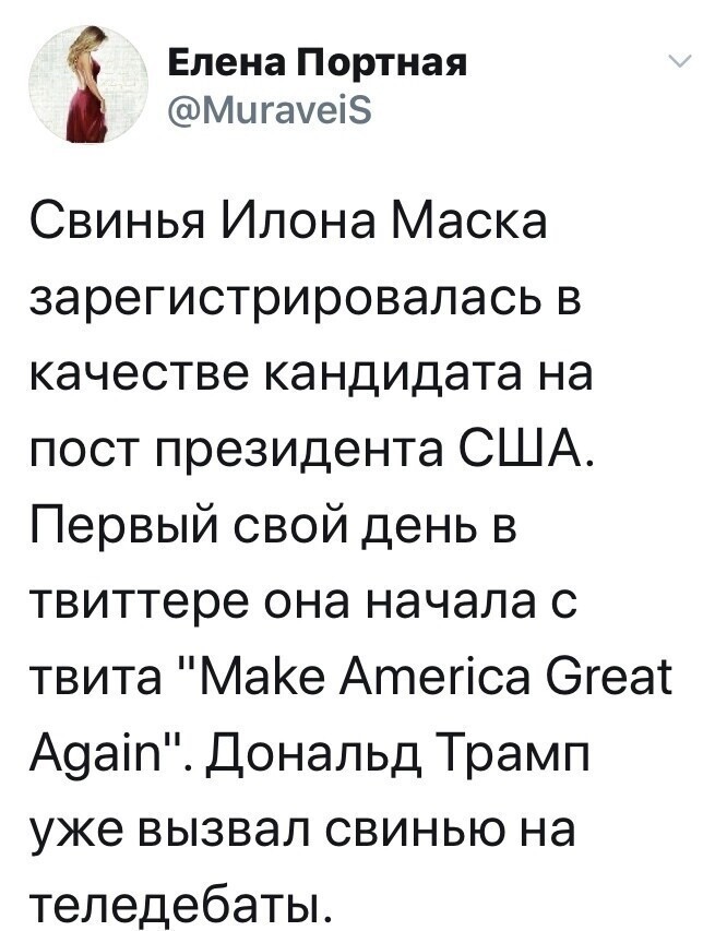 Свинья, в мозг которой Илон Маск вживил чип, подготовила диссертацию по геополитике