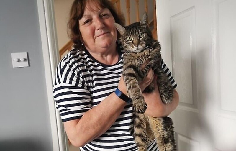 В Британии спасли кота, который 2 месяца жил в закрытом контейнере