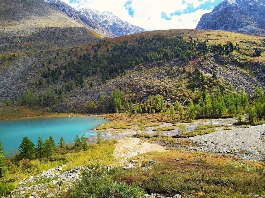 Алтайский край