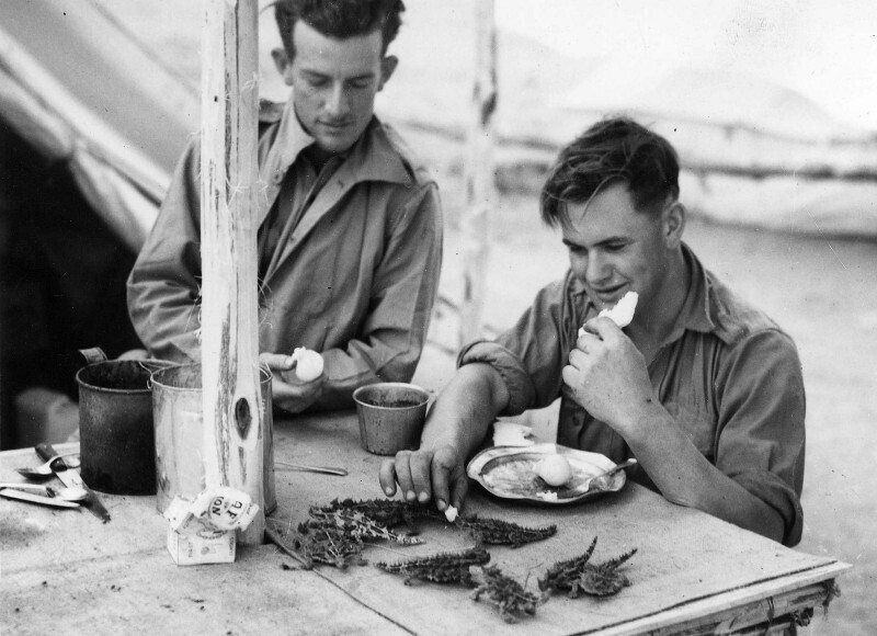 Солдаты подкармливают ящериц "Колючий дьявол". Австралия, 1941
