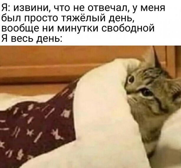 Прикольные и смешные картинки