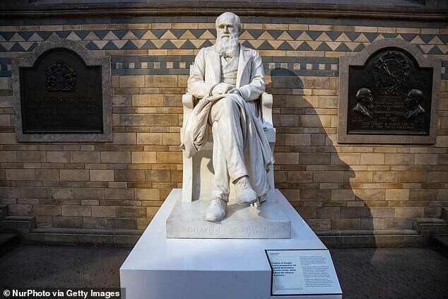 Дарвина уволят из Музея естественной истории