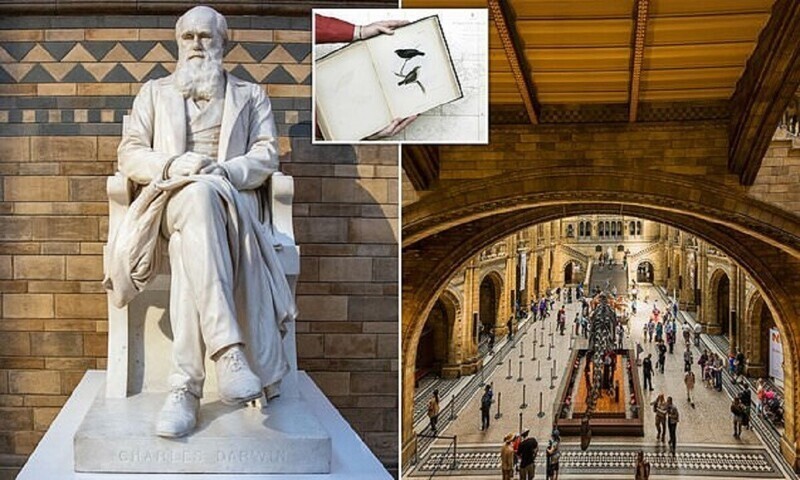 Дарвина уволят из Музея естественной истории