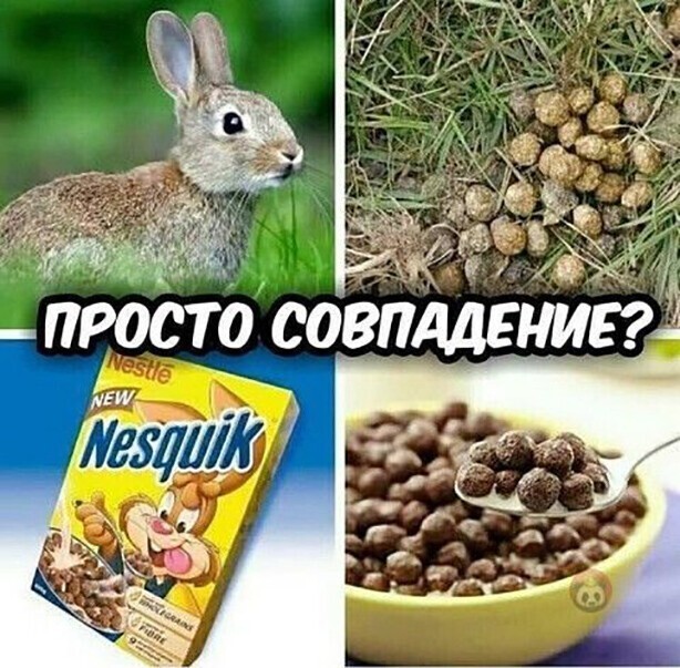 Прикольные и смешные картинки