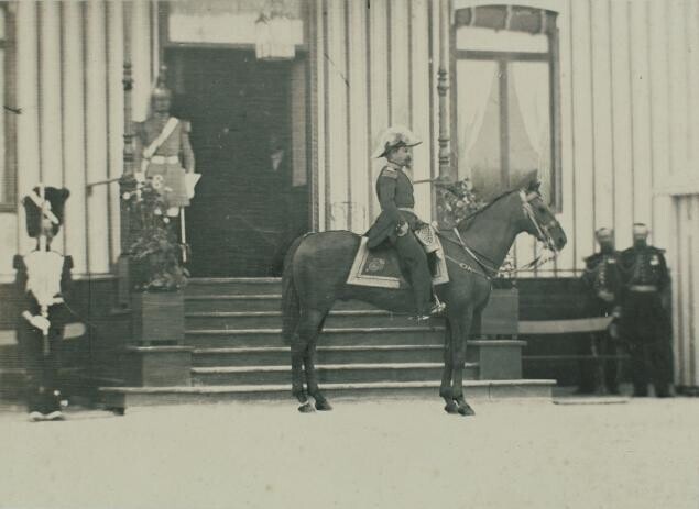 Лагерь в Шалоне: Наполеон III на коне перед императорским павильоном, 1857
