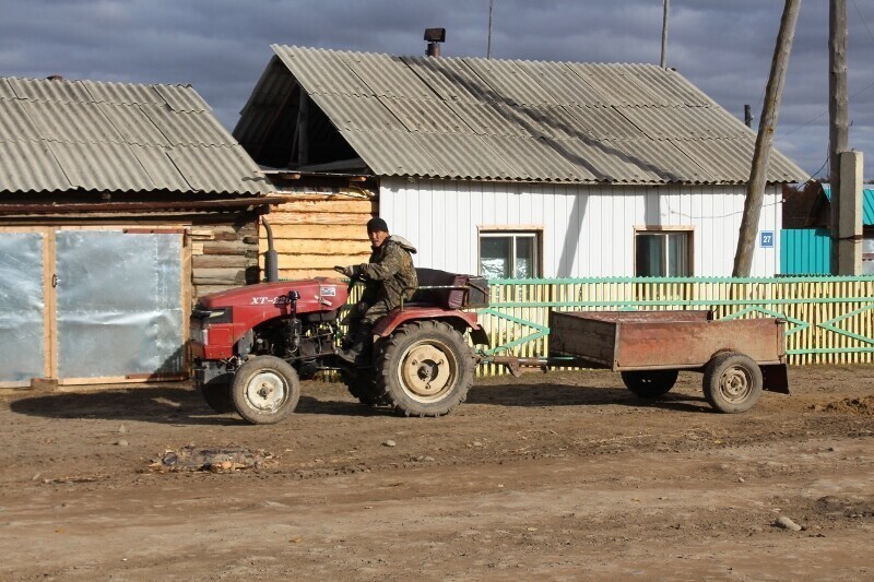 Пилотная программа: помощь семьям в Якутии показала хороший урожай