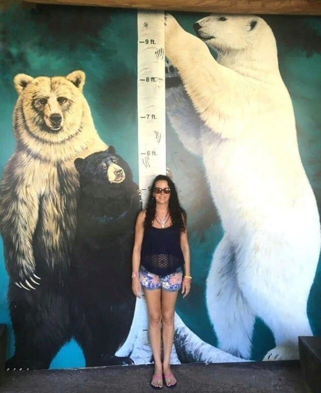 Бонус: Сравнительная шкала размеров диких медведей и посетителей зоопарка