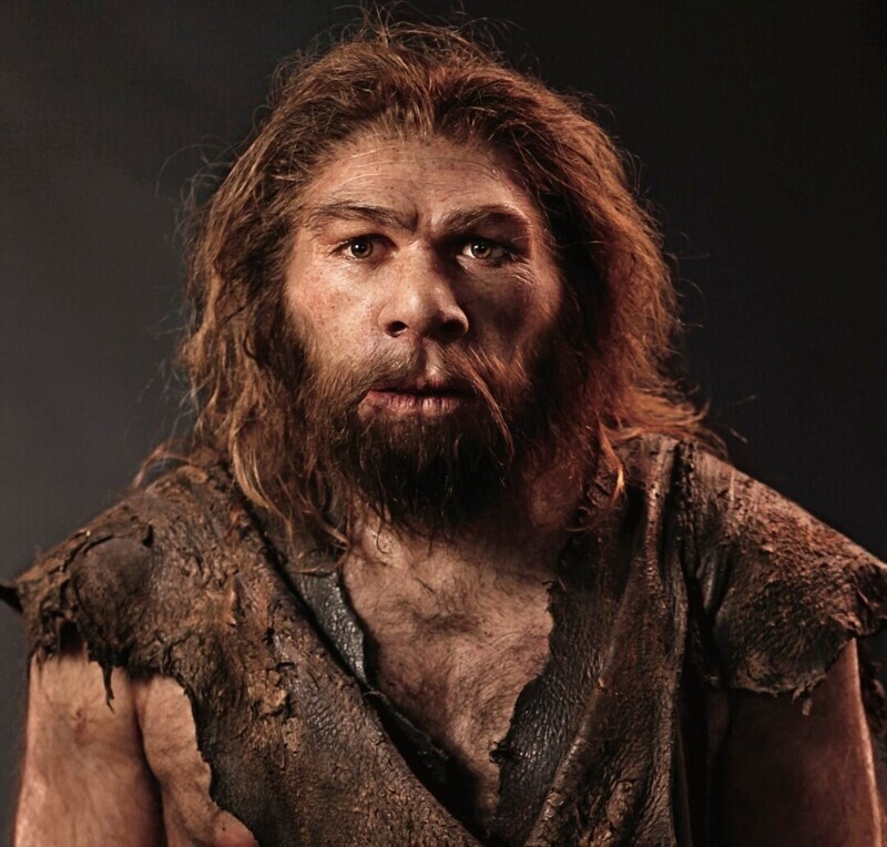 Ученые выяснили чем питались неандертальцы