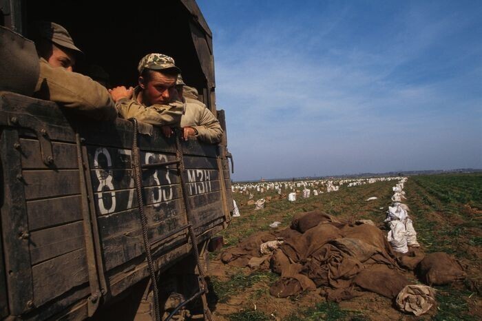 Армейцы приехали на уборку картошки. 1988 год. 