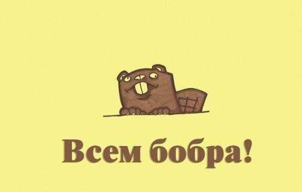 Вся правда о бобрах