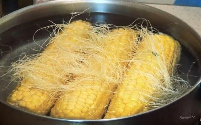 Как правильно варить кукурузу в початках и без початков в кастрюле?