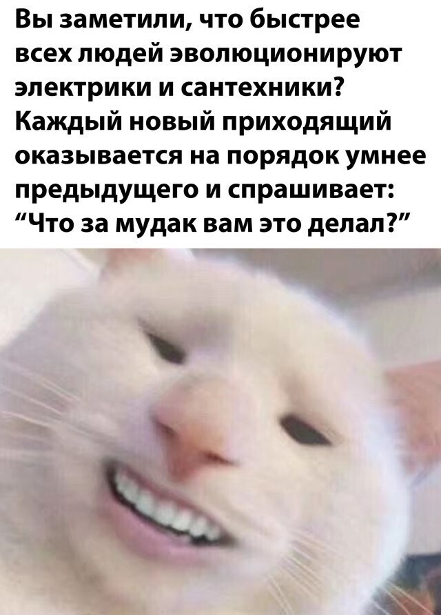 Намешалось