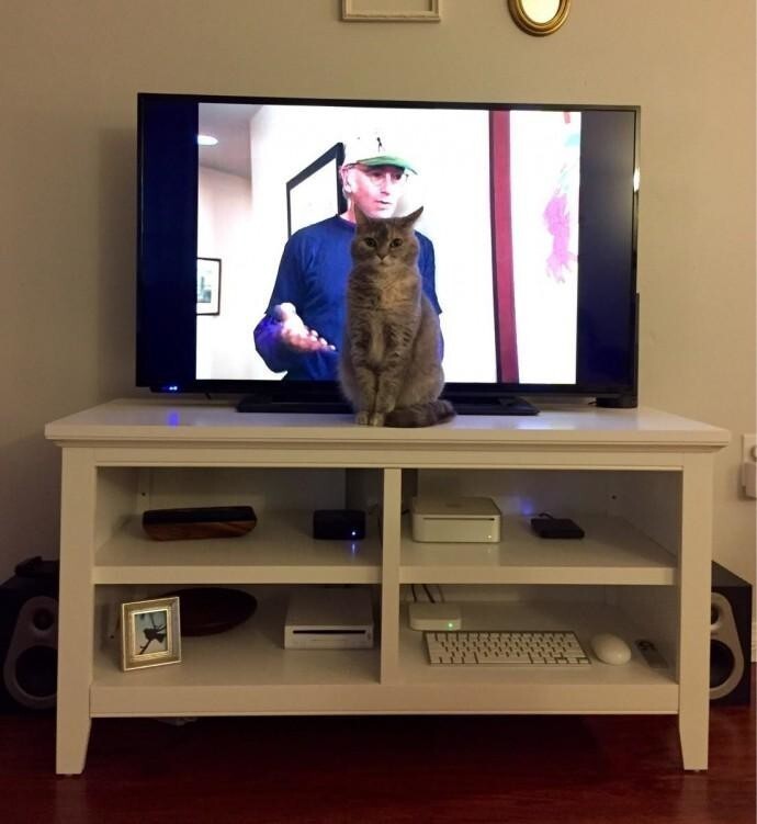 Я интересней, чем ваш телевизор